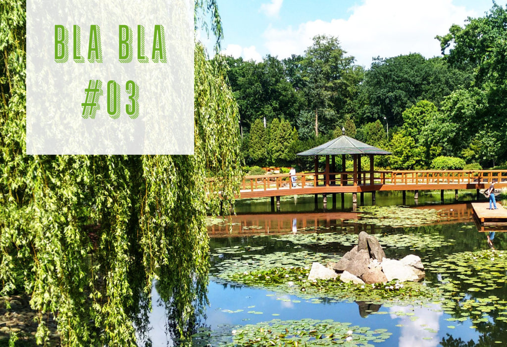 Read more about the article Blabla #03 // Euro, zwiedzanie Wrocławia i bieg górski